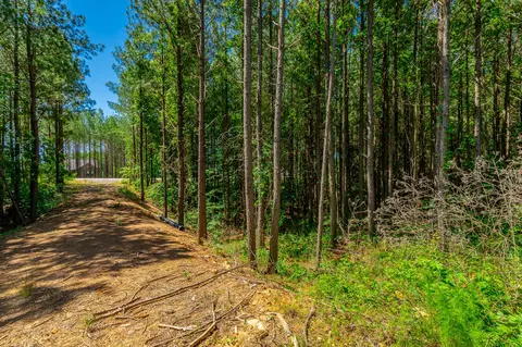 Other - 1163 Split Rail Way, Guild, TN 37340 photo 27 of 45