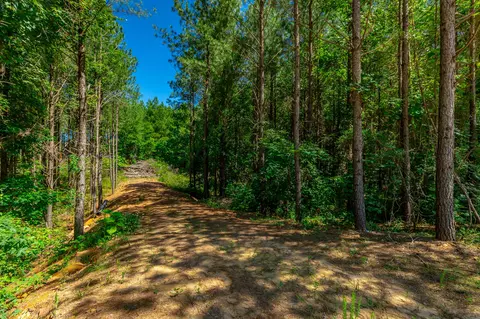 Other - 1163 Split Rail Way, Guild, TN 37340 photo 5 of 45