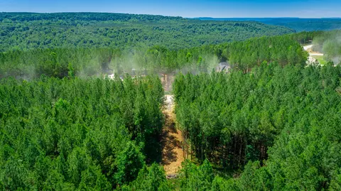 View/Area - 1163 Split Rail Way, Guild, TN 37340 photo 13 of 38