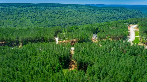 View/Area - 1163 Split Rail Way, Guild, TN 37340 photo 9 of 38