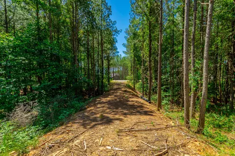 Other - 1163 Split Rail Way, Guild, TN 37340 photo 25 of 45