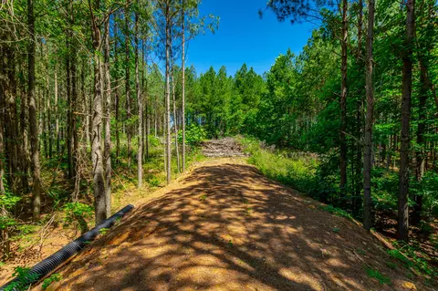 Other - 1163 Split Rail Way, Guild, TN 37340 photo 21 of 45