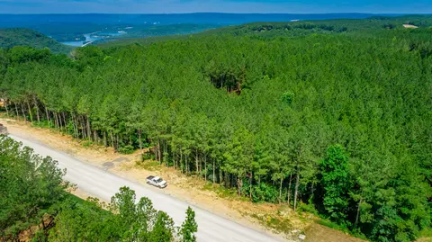 View/Area - 1163 Split Rail Way, Guild, TN 37340 photo 11 of 38