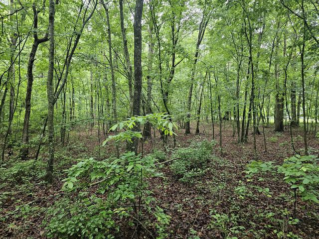 2411 Sr 56 Rd #2, Tracy City, TN 37387