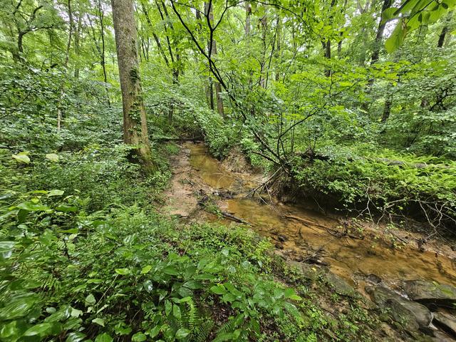 2411 Sr 56 Rd #4, Tracy City, TN 37387