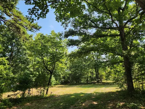 381 Patton School Rd #01, South Pittsburg, TN 37380