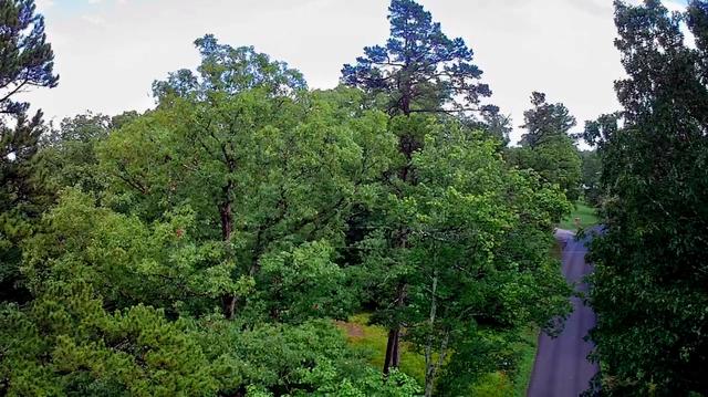 381 Patton School Rd #01, South Pittsburg, TN 37380