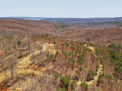253 Highway 27 Daus Mountain Rd, Palmer, TN 37365