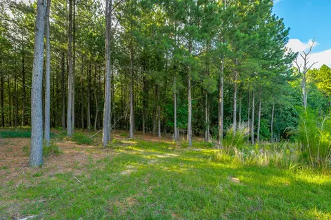 Undisclosed, Jasper, TN 37347 photo 20