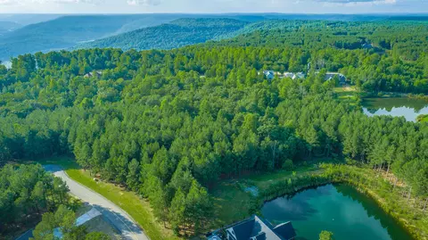 Undisclosed, Jasper, TN 37347 photo 45