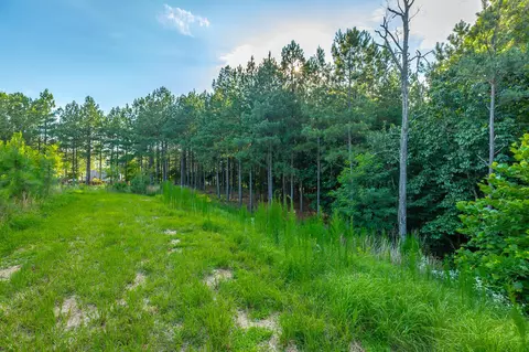 Undisclosed, Jasper, TN 37347 photo 30