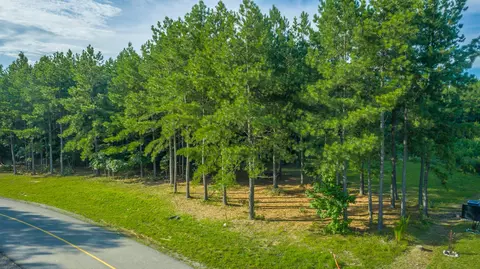 Undisclosed, Jasper, TN 37347 photo 34
