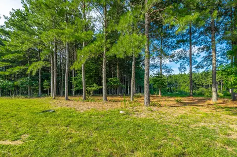 Undisclosed, Jasper, TN 37347 photo 7