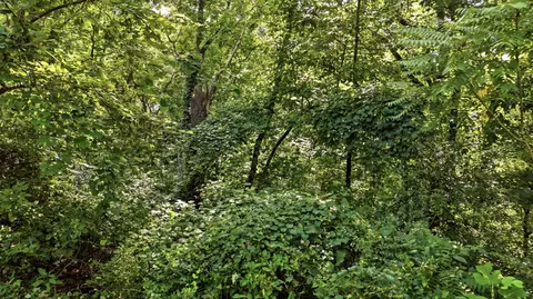 1430 Gold Crest Dr, Hixson, TN 37343