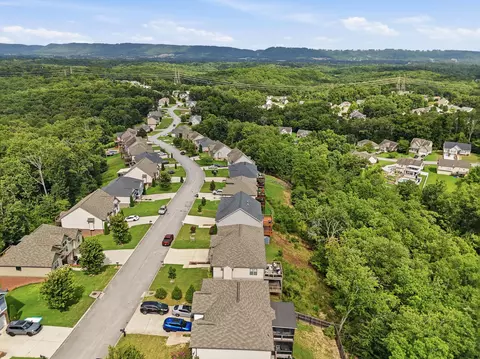 View/Area - 7410 Pfizer Dr, Ooltewah, TN 37363 photo 3 of 4