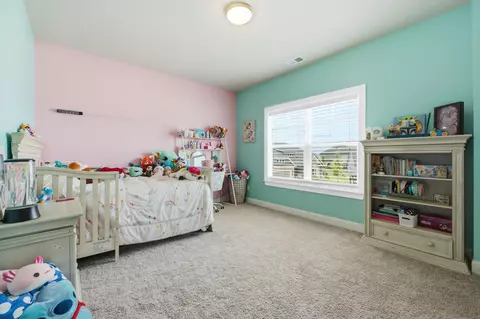 Other - 3387 Grassy Fields Ln, Apison, TN 37302 photo 20 of 30