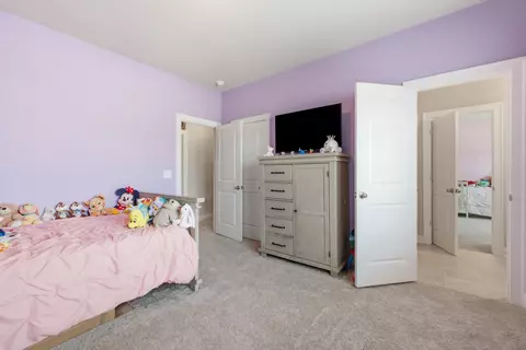 Other - 3387 Grassy Fields Ln, Apison, TN 37302 photo 16 of 30