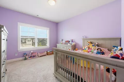 Other - 3387 Grassy Fields Ln, Apison, TN 37302 photo 17 of 30