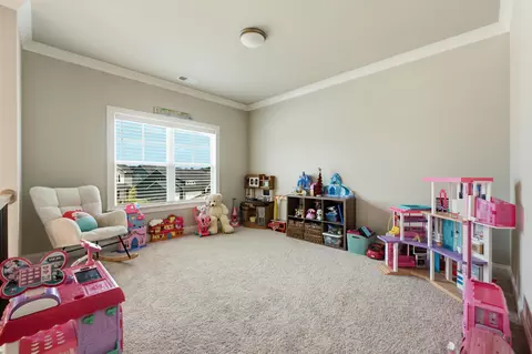 Bedroom - 3387 Grassy Fields Ln, Apison, TN 37302 photo 2 of 2