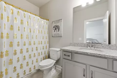 Other - 3387 Grassy Fields Ln, Apison, TN 37302 photo 23 of 30