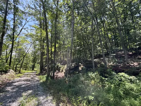 0 Lee Station Mountain Road Rd #080 022.00, Pikeville, TN 37367
