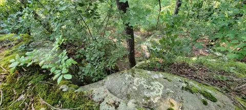 0 Preservation Dr #LOT 6, South Pittsburg, TN 37380