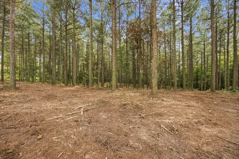 2023 Crescent Ct, Guild, TN 37340 photo 4