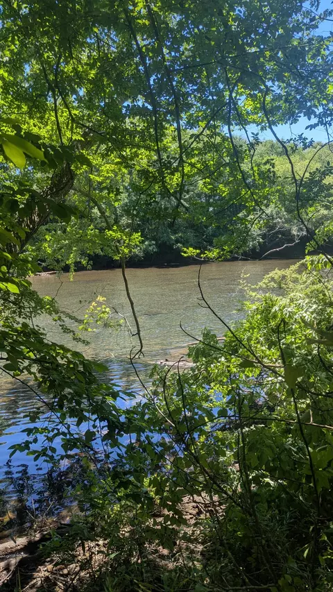 Undisclosed, Ocoee, TN 37361 photo 5