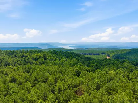lot2024 Crescent Ct, Guild, TN 37340 photo 7