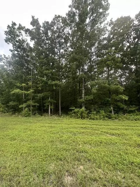 198 Kyuga Dr #198, South Pittsburg, TN 37380