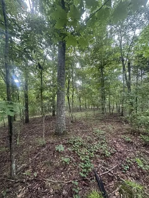 lot108 Chesadu Circle Cir #108, South Pittsburg, TN 37380