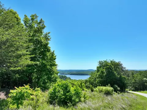 0 Flint Ridge Rd, Rockwood, TN 37854
