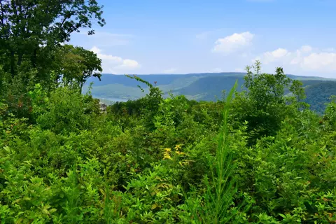 0 River Bend Rd #LOT 1299, Guild, TN 37340 photo 12