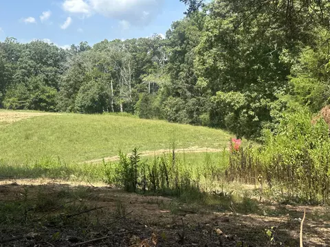 14611 Baker Rd #LOT 8, Birchwood, TN 37308