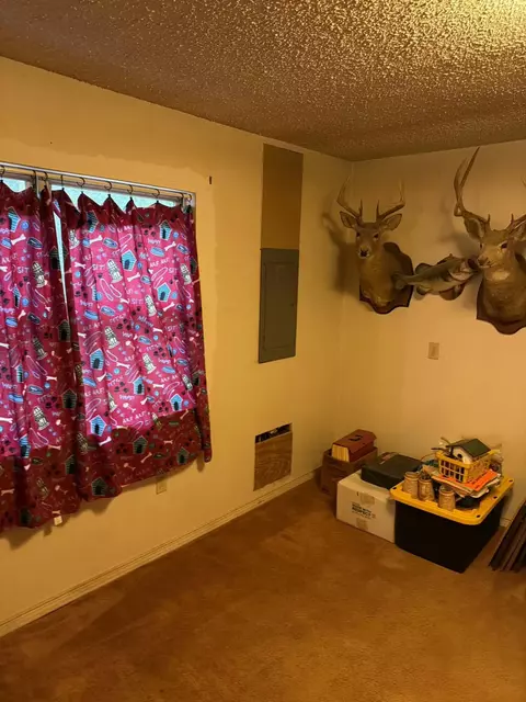 Other - 527 Black Mountain Mtn E, Dunlap, TN 37327 photo 6 of 11