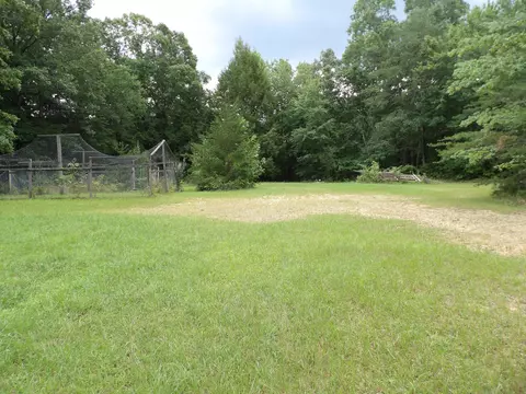 Exterior - 527 Black Mountain Mtn E, Dunlap, TN 37327 photo 17 of 24