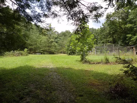 Exterior - 527 Black Mountain Mtn E, Dunlap, TN 37327 photo 15 of 24