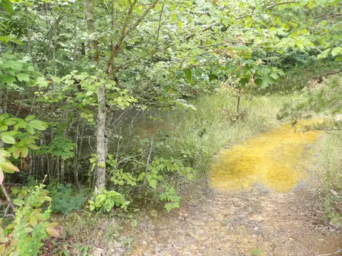 Other - 527 Black Mountain Mtn E, Dunlap, TN 37327 photo 3 of 11