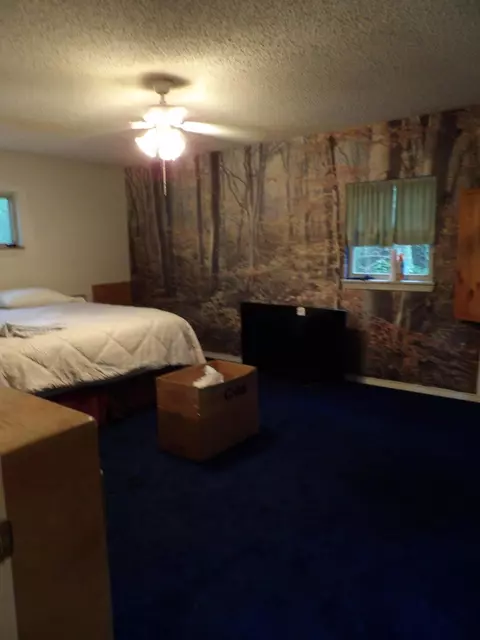 Bedroom - 527 Black Mountain Mtn E, Dunlap, TN 37327 photo 3 of 5