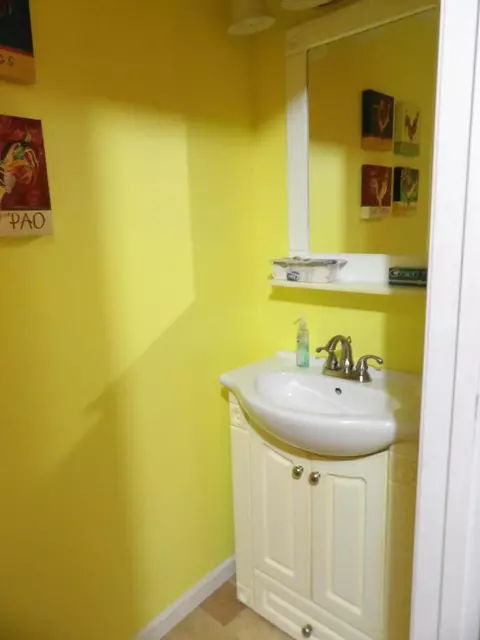 Bath - 527 Black Mountain Mtn E, Dunlap, TN 37327 photo 5 of 5