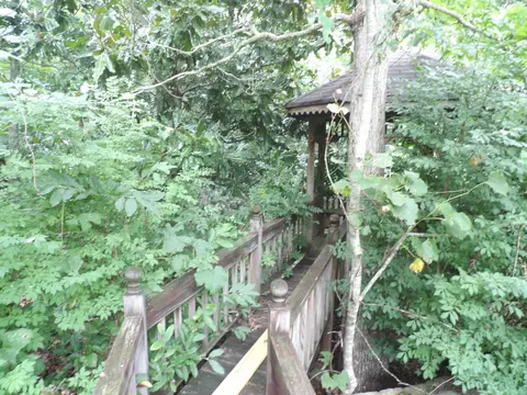 Exterior - 527 Black Mountain Mtn E, Dunlap, TN 37327 photo 9 of 24