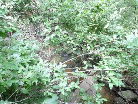 View/Area - 527 Black Mountain Mtn E, Dunlap, TN 37327 photo 7 of 7