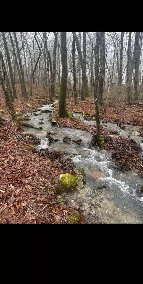 Other - 527 Black Mountain Mtn E, Dunlap, TN 37327 photo 2 of 11