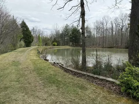 View/Area - 527 Black Mountain Mtn E, Dunlap, TN 37327 photo 3 of 7