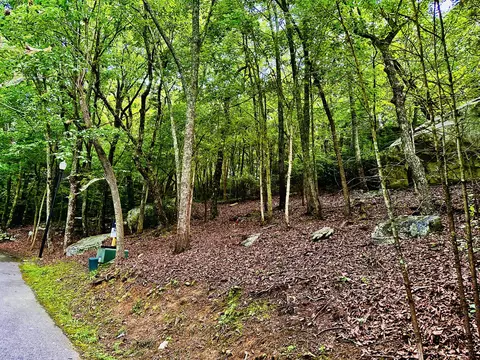 0 Eagle Creek Trl #LOT 5, Rising Fawn, GA 30738