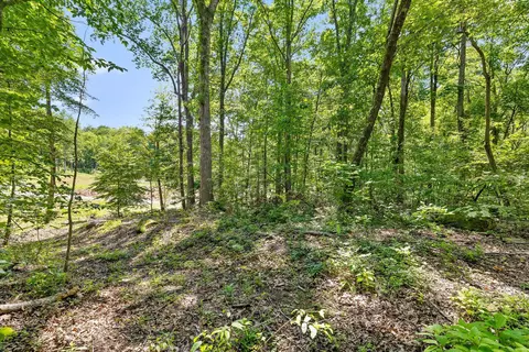 0 Maple Leaf Trl #LOT 5, Lookout Mountain, GA 30750