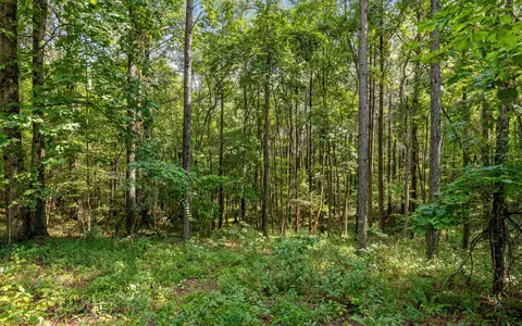 lot2017 Harmony St, Guild, TN 37340 photo 8
