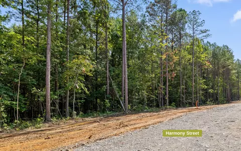 lot2017 Harmony St, Guild, TN 37340 photo 4