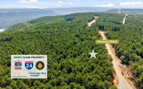 lot2017 Harmony St, Guild, TN 37340 photo 11