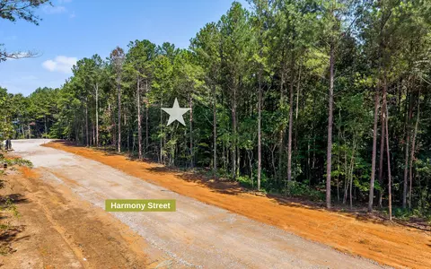 lot2017 Harmony St, Guild, TN 37340 photo 5